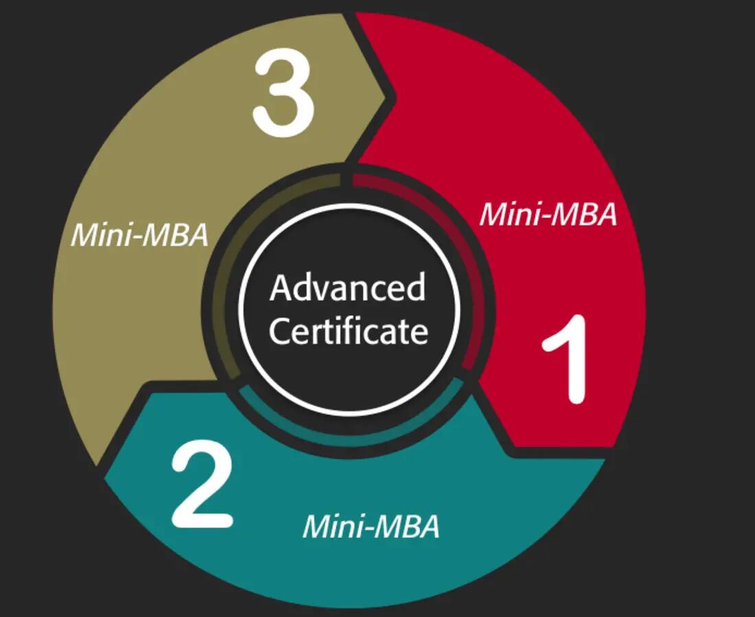 Circle diagram representing Mini-MBA programs that make up an advanced certificate