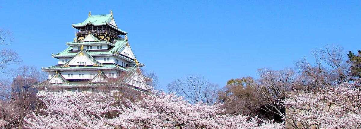 temple in Japan surrounded by cherry blossoms 